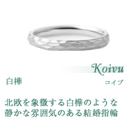 ホワイトゴールド結婚指輪