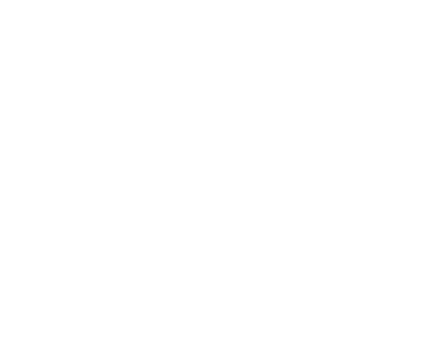 Suomi スオミ + フィンランド
